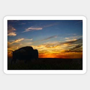 Bison Sunset Prairie Sticker